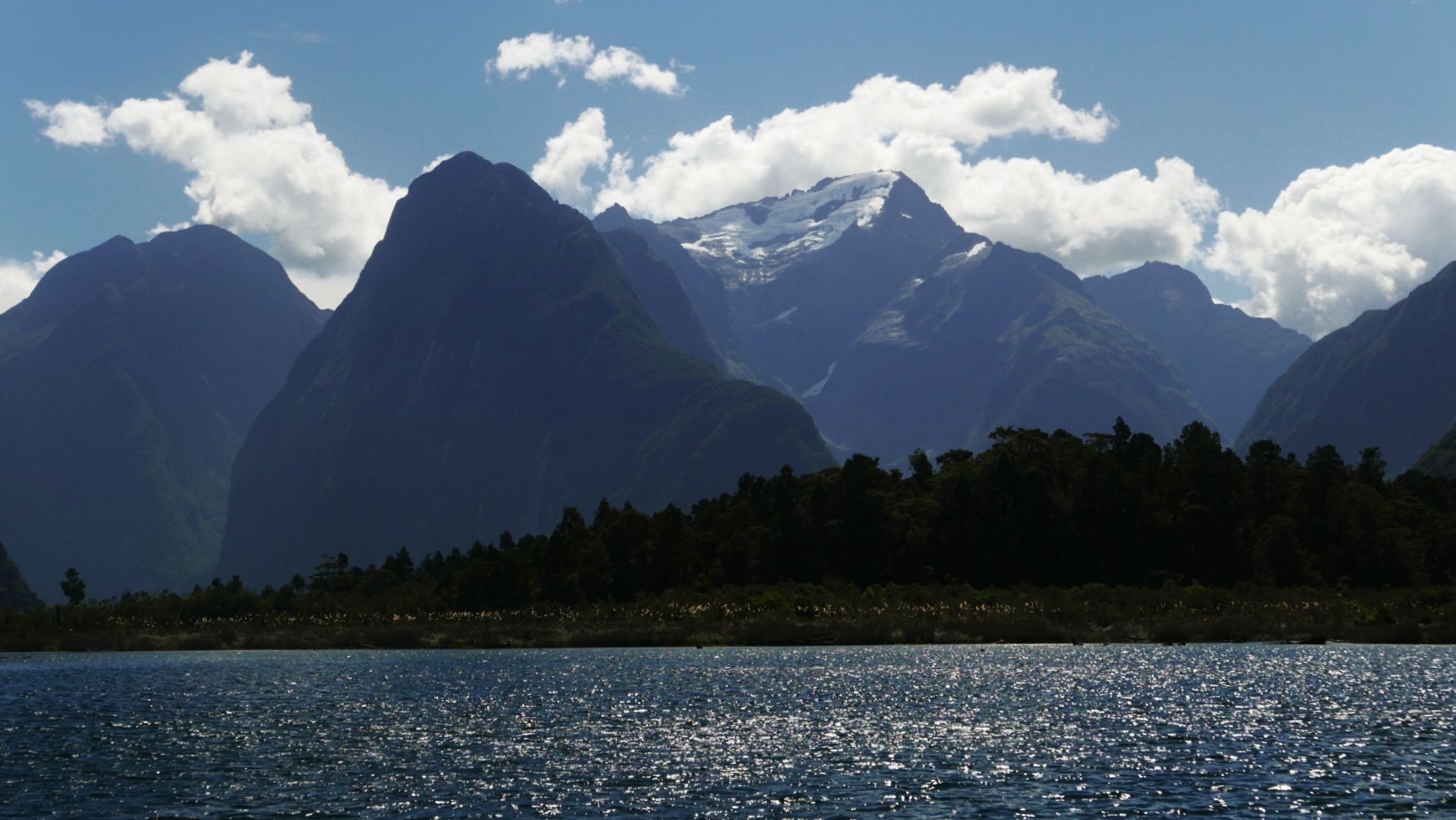 Ausflug ins Fiordland