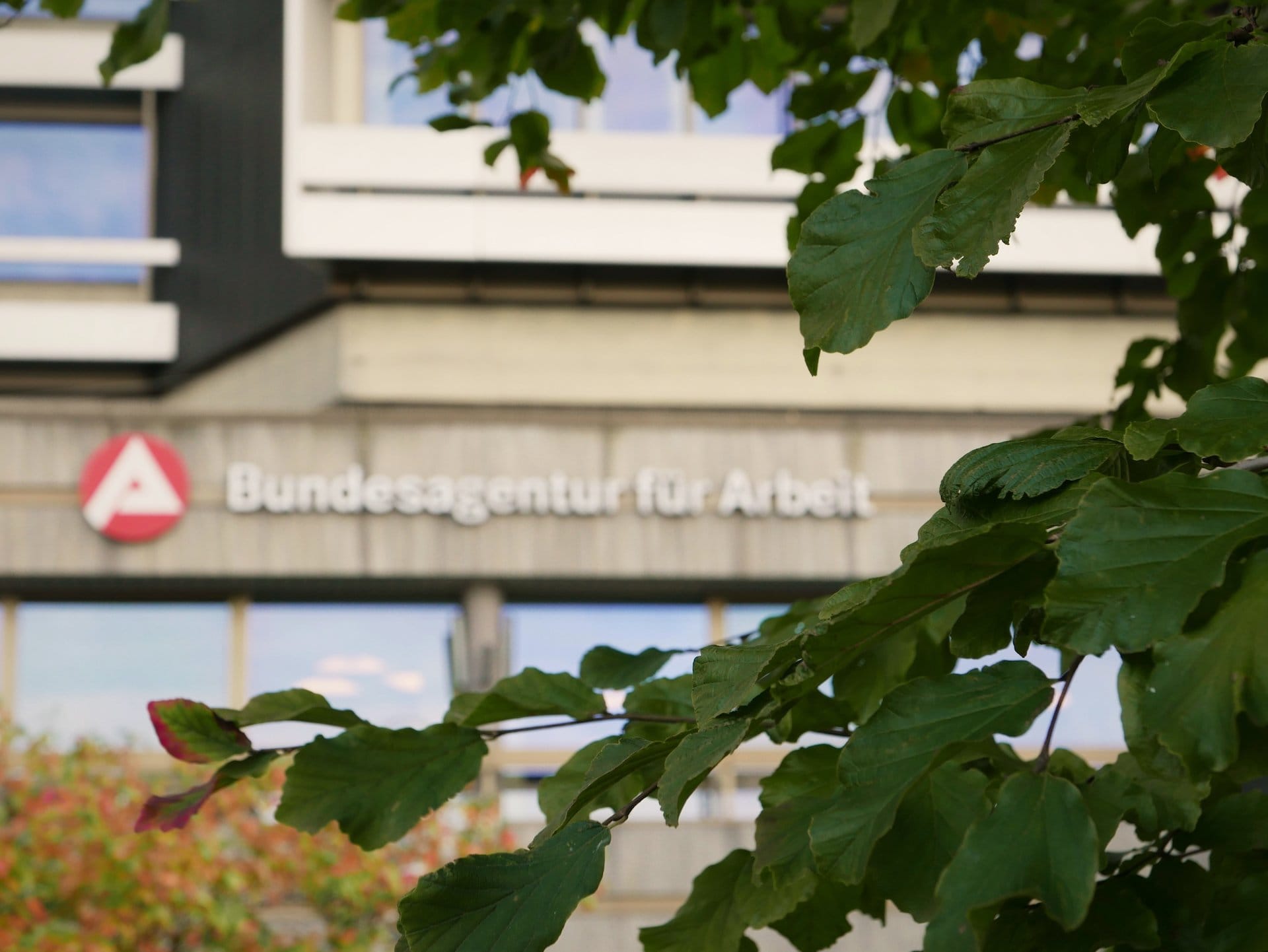 Meldung bei der Agentur für Arbeit