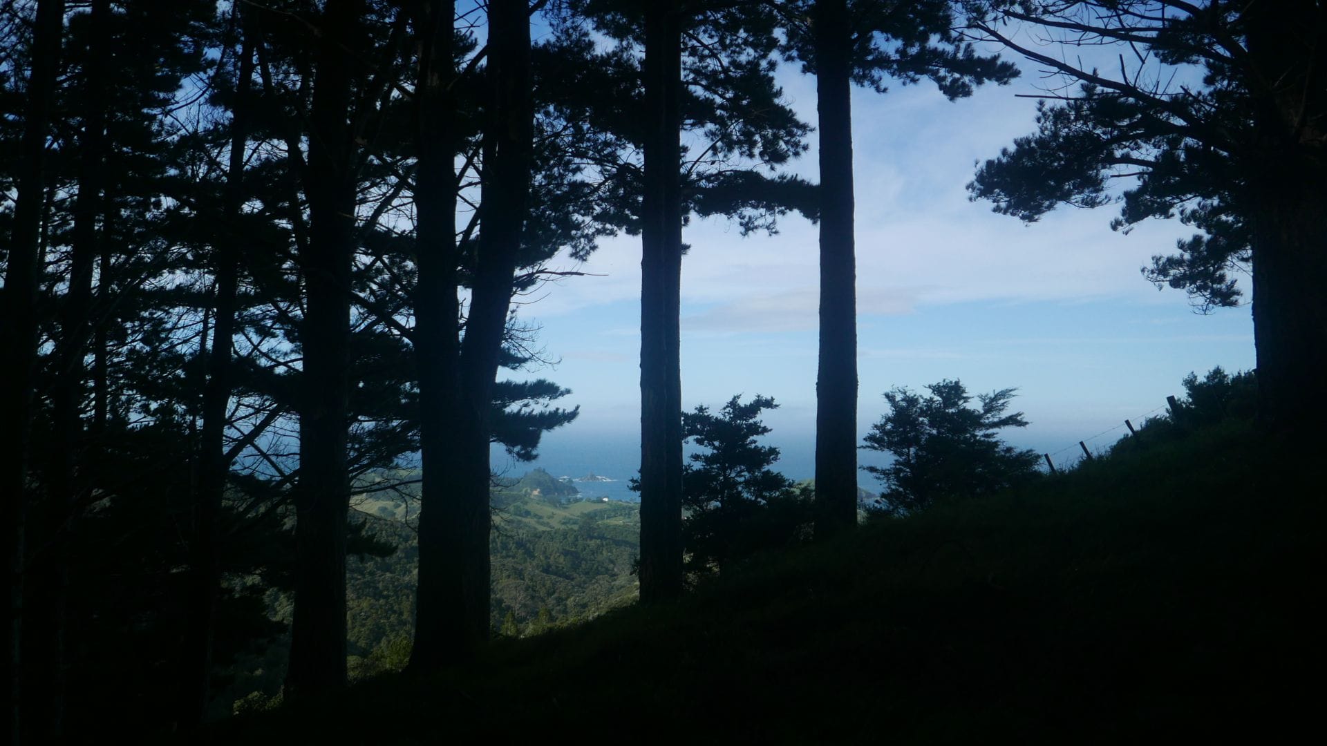 Oakura Campsite bis zum Taiharuru Walkers Camp