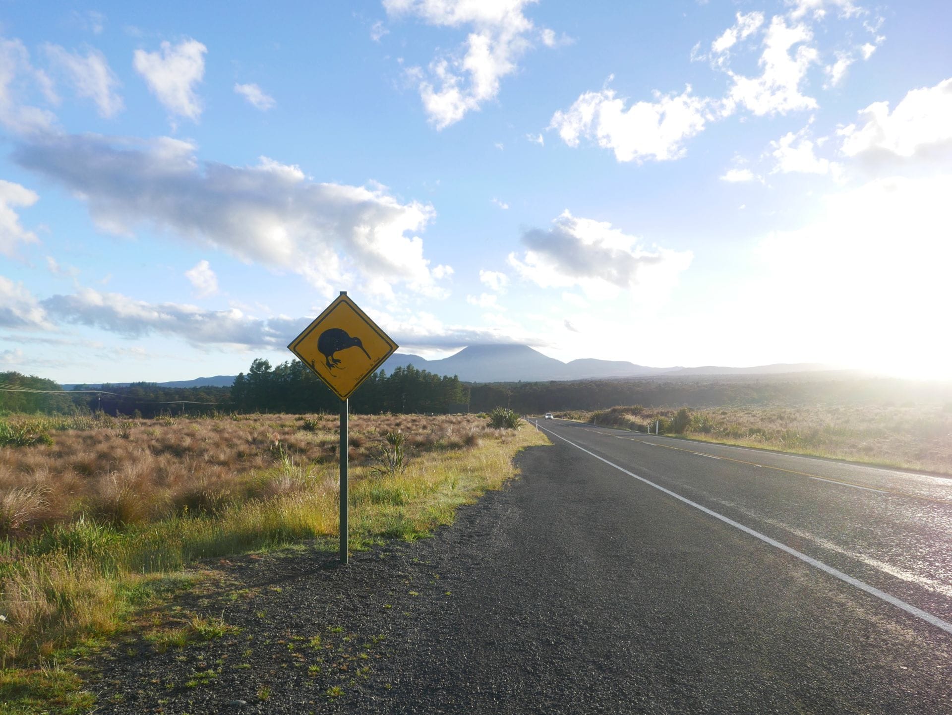 Whakapapa nach Whakahoro