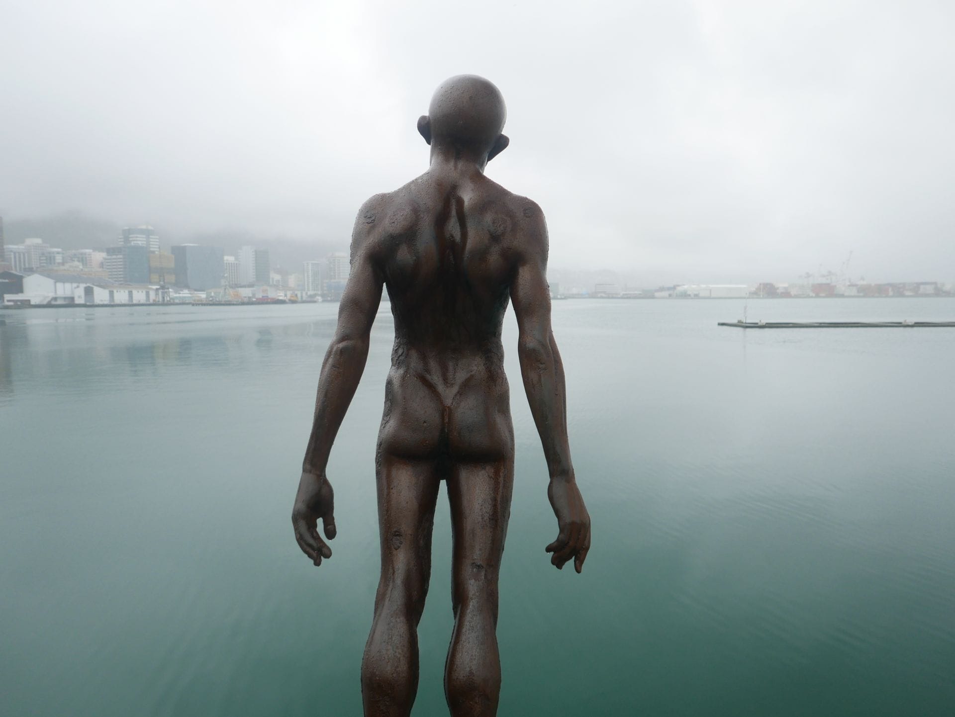 Porirua nach Wellington