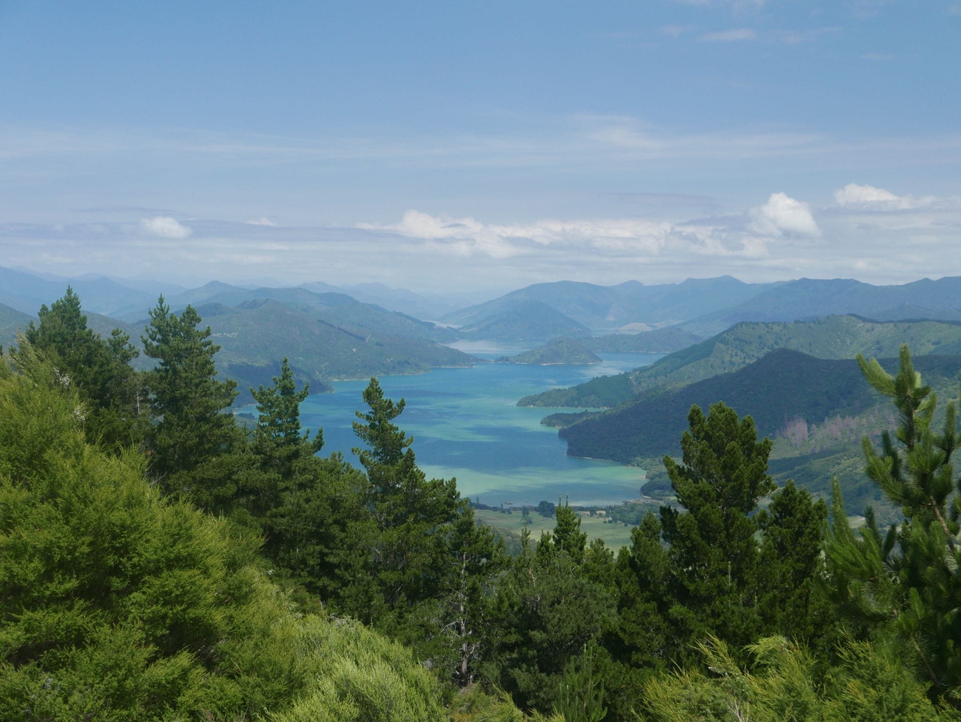 Wellington nach Linkwater