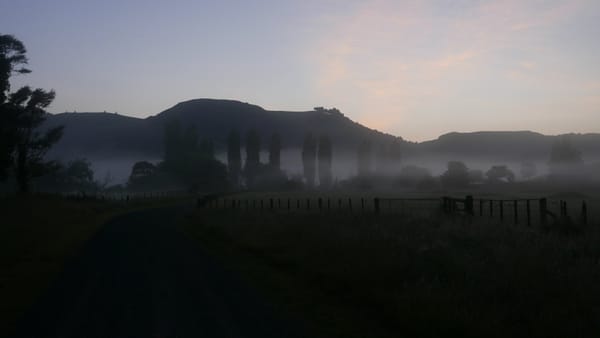 Mangaokewa Reserve bis kurz vor Piropiro