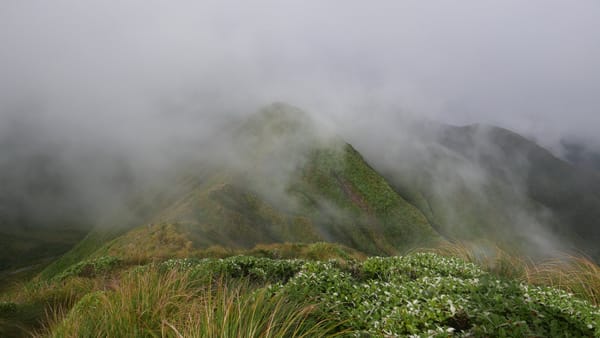 Makahika Outdoor Pursuits Center bis zum Parawai Hut