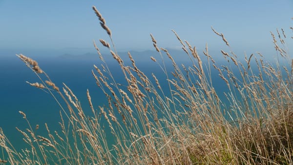Parawai Hut bis Porirua