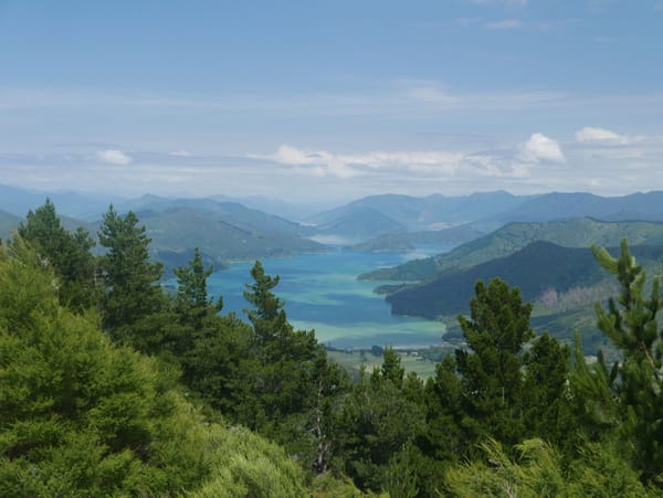 Wellington nach Linkwater