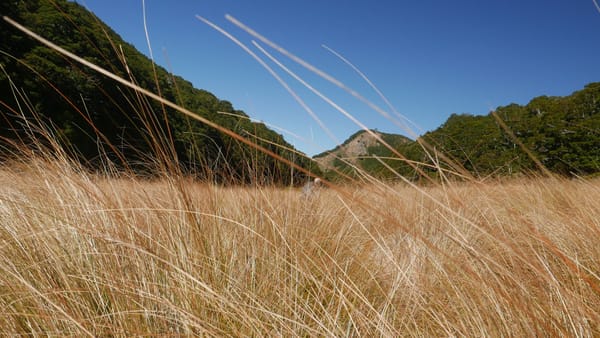 SH94 bis Lower Wairaki Hut